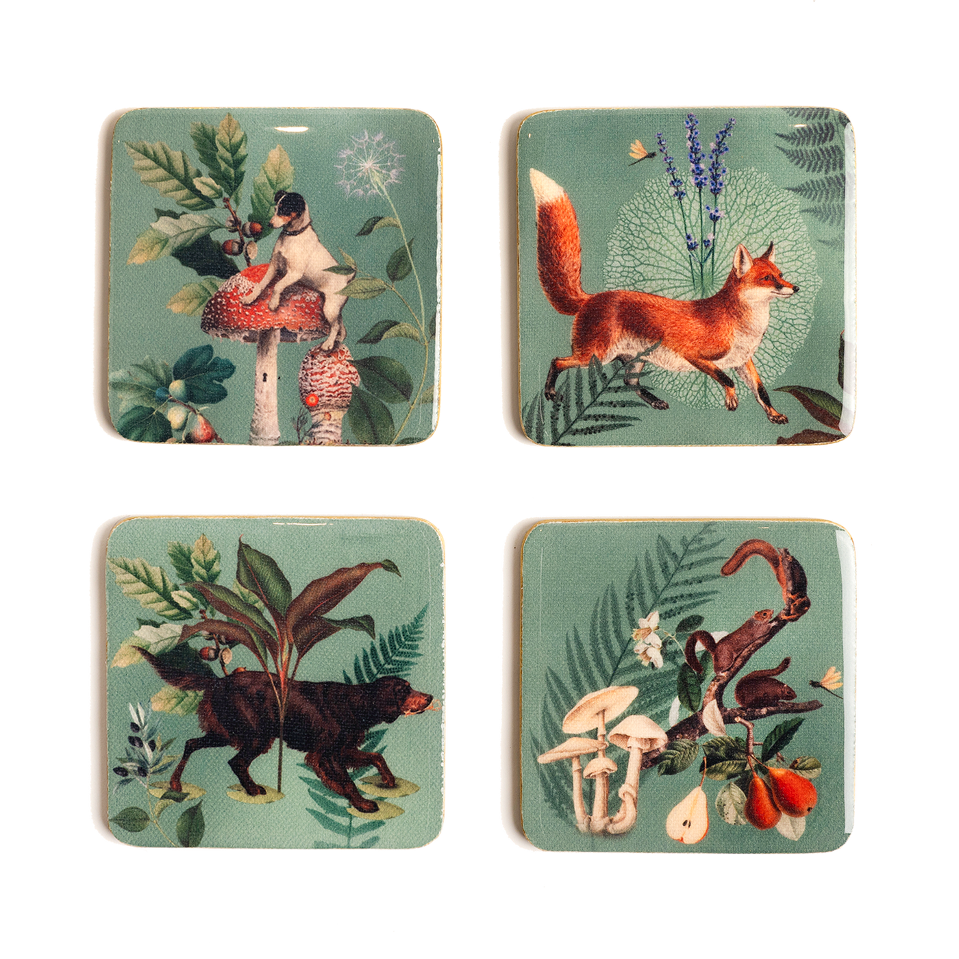 Muzaluci The Forest Menta - Coasters