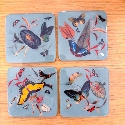 Muzaluci Butterfly Aqua Coasters