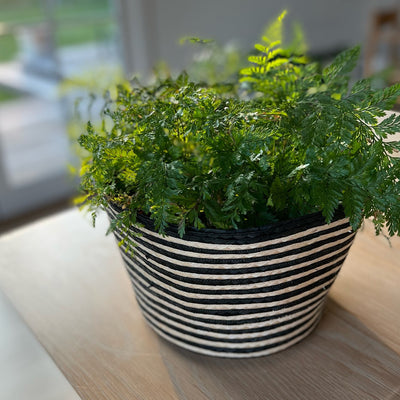 Cauca Basket / Planter - Small