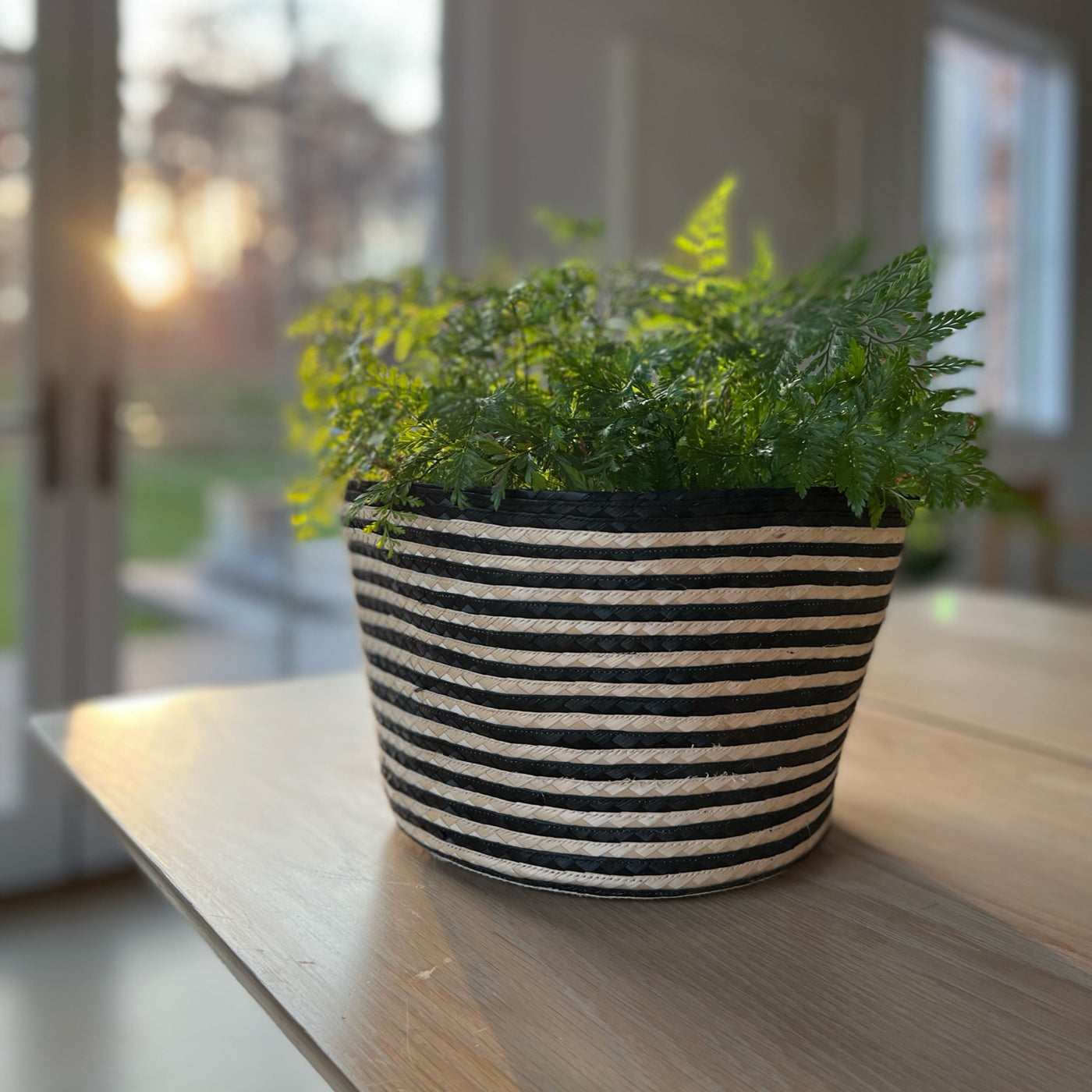 Cauca Basket / Planter - Small